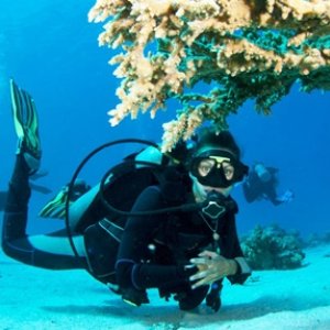 Andaman tour package from mumbai