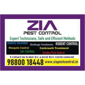Zia pest control | general pest service | discount upto 50% | 70