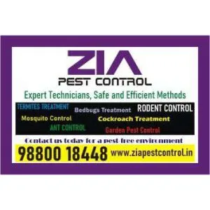 Zia pest control | general pest service | discount upto 50% | 70