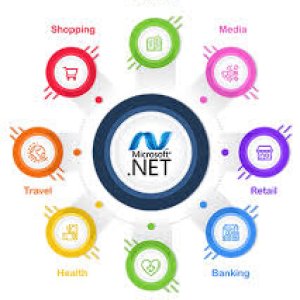 Affordable aspnet development services in usa