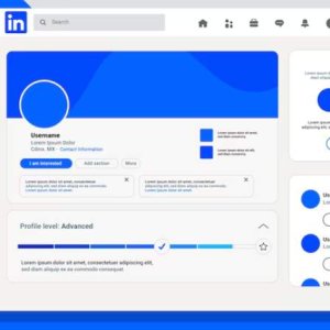Boost your brand with ninegrapes – linkedin marketing agency