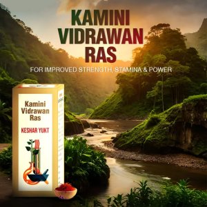 Boost vitality with baidyanath kamini vidrawan ras – natural ayu