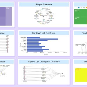 Affordable data visualization for growing businesses