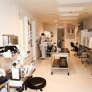 Best ivf center in patna