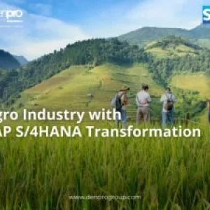 Top sap s/4hana consultants in india – denpro group