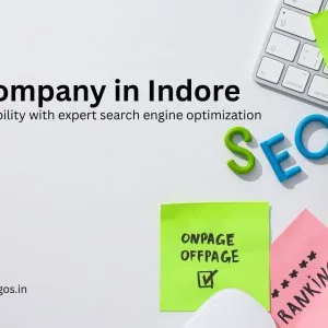 Seo company in indore | digital amigos