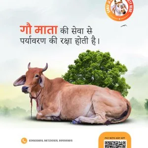Support sacred lives through cow donation | gau seva society