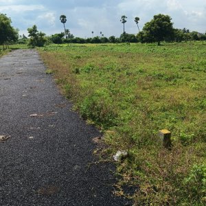 Dtcp and rera approved plots for sale at veppampattu