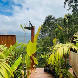 Mountain view staycation munnar | luxury glamping in munnar