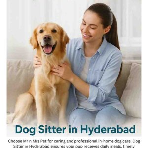 Dog sitter in hyderabad