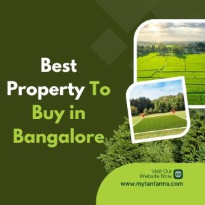 Finding the best property to buy in bangalore