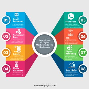 Seo consultant dhaid