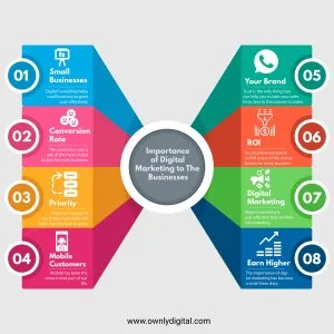 Seo consultant dhaid