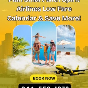 Plan smart with spirit airlines low fare calendar & save more
