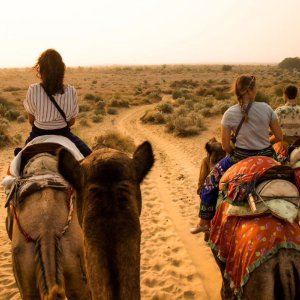 Discover the best overnight camel safari jaisalmer | book now