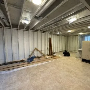 Soflo mold specialist