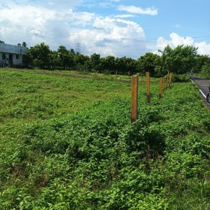 Dtcp and rera approved plots for sale at veppambattu