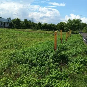 Dtcp and rera approved plots for sale at veppambattu