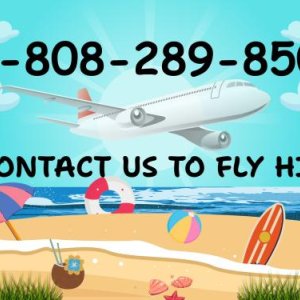 07 ways to contact how do i speak to someone at expedia®?