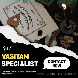 Best vasiyam specialist - mantrigam vasiyam service