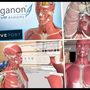 Vr training in healthcare by juego nexr