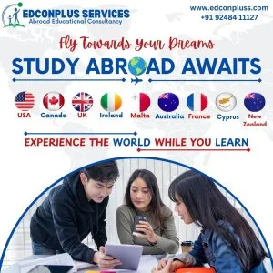 Best abroad educational consultancy