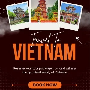 Holiday packages