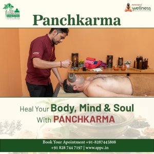 Panchakarma therapy in delhi
