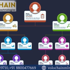 Roi-based mlm monoline system – volochain mlm software