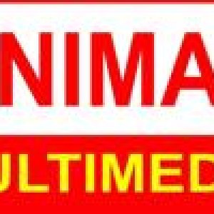 Graphic design colleges in coimbatore - animax multimedia