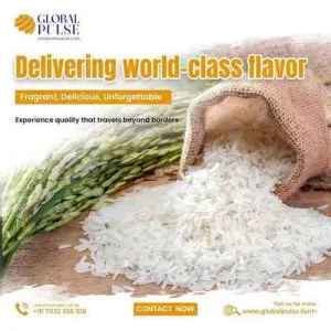 Premium rice manufacturers in india: why global pulse farm stand