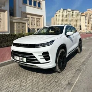Car rental in palm jumeirah