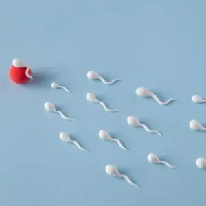 Comprehensive guide to male infertility treatment in india