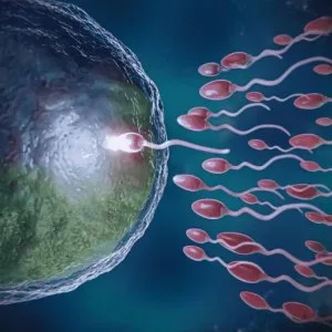 Oligospermia treatment in india: advanced care for male fertilit