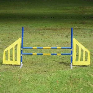 Shop dog agility equipment for training & fun - k9 escapade