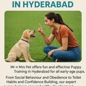 Puppy training in hyderabad