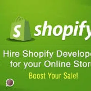 Shopify developer for checkout customization