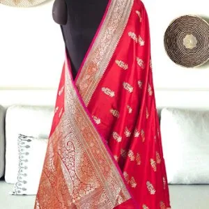 Graceful silk saree collection for every occasion