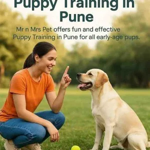 Puppy training in pune