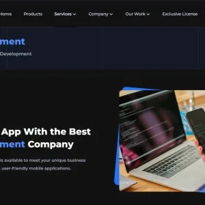 Mobile app development services company bhuj, india | wrteam