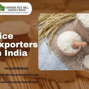 Rice exporters in india