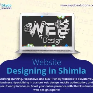 Web designer in shimla