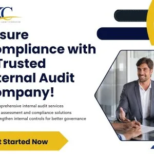 Statutory audit india - pkc india