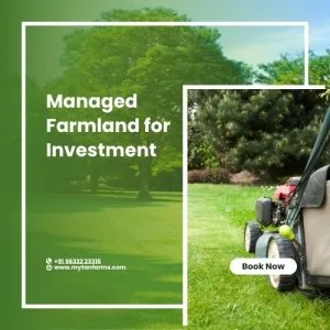 Smart farming, smarter investment: explore managed farmland