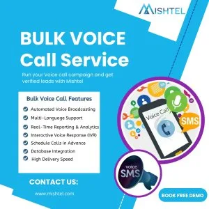 Bulk voice services provider in delhi ncr for mass voice campaig