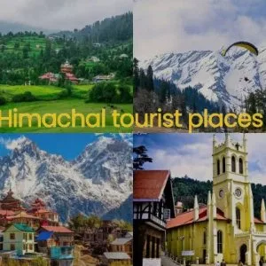 Travel agency in shimla