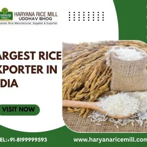 Largest rice exporter in india