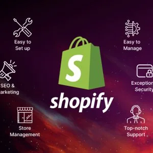 Shopify development agency – design, develop & grow your brand