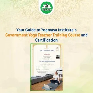 Government yoga teacher training course and certification