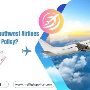 Southwest airlines name change policy – update passenger name wi